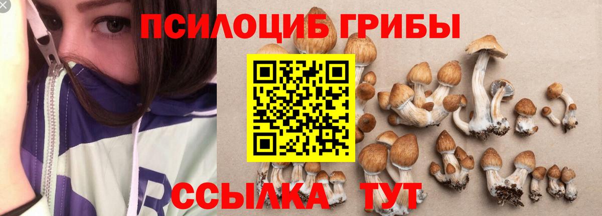 Псилоцибиновые грибы мицелий Выкса